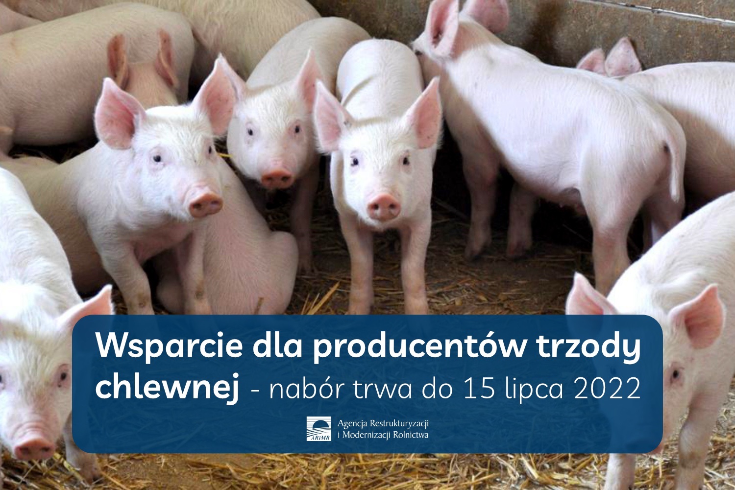 20220707 wsparcie trzydy chlewnej