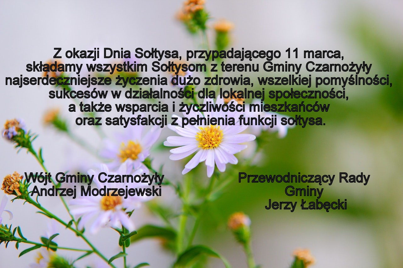 20230311 zyczenia soltysi