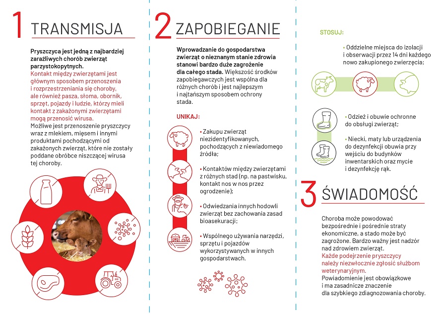 20250409 info pryszczyca 2
