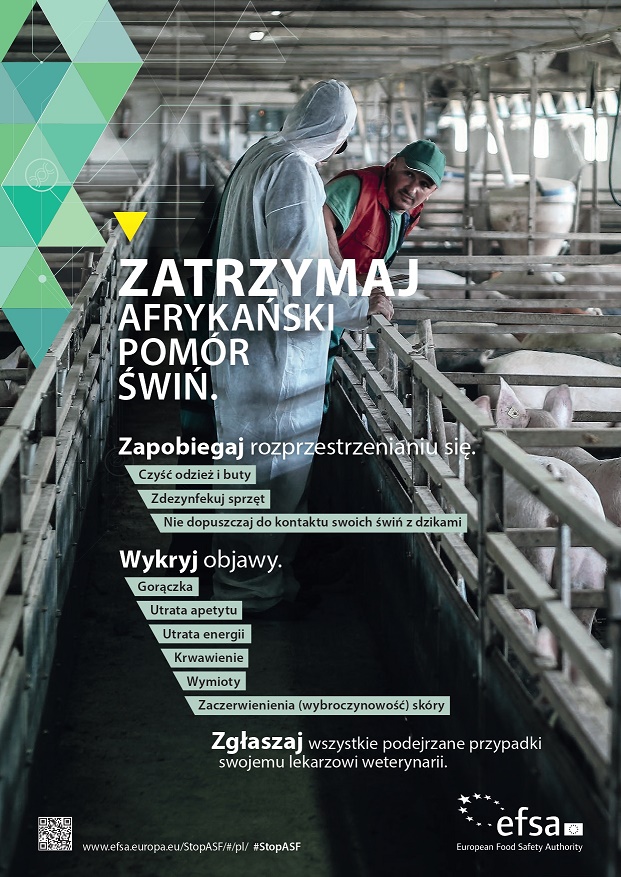 20250613 ulotka ASF 1