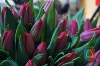 b_200_150_16777215_00_images_2018_2018-03-08-dzien-kobiet-gromadzice-19.jpg