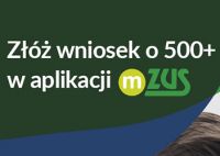 20230212 zus 500 small